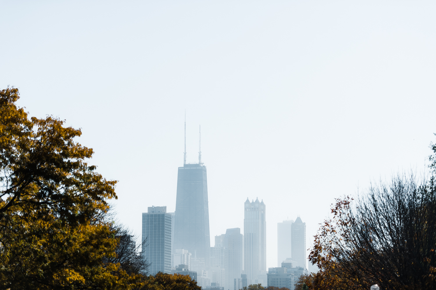 Wedding Manikasdesigns Chicago 004