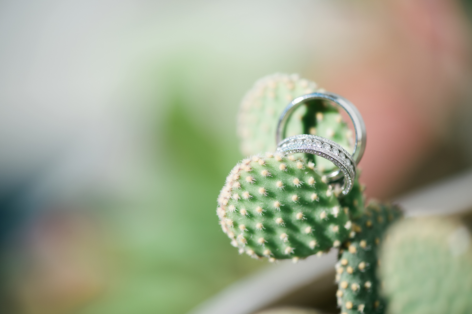 Wedding Los Angeles San Diego California003