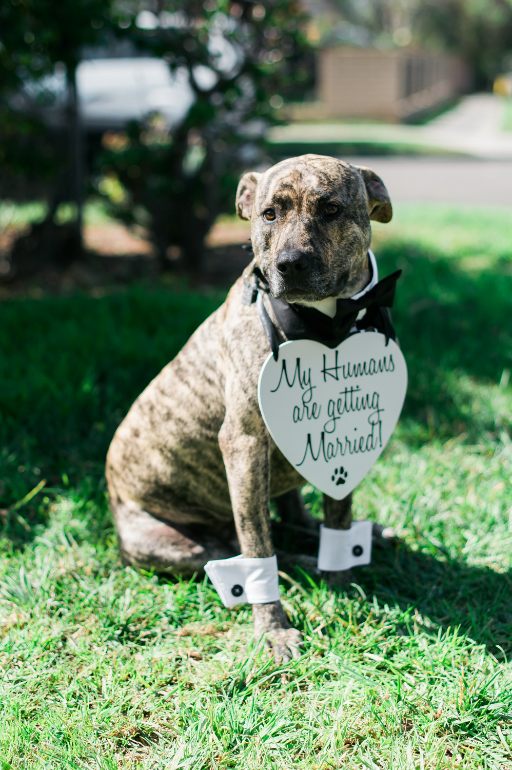 Wedding Los Angeles San Diego California086